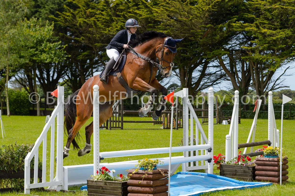 BS Guernsey Derby Show 16 June 2024