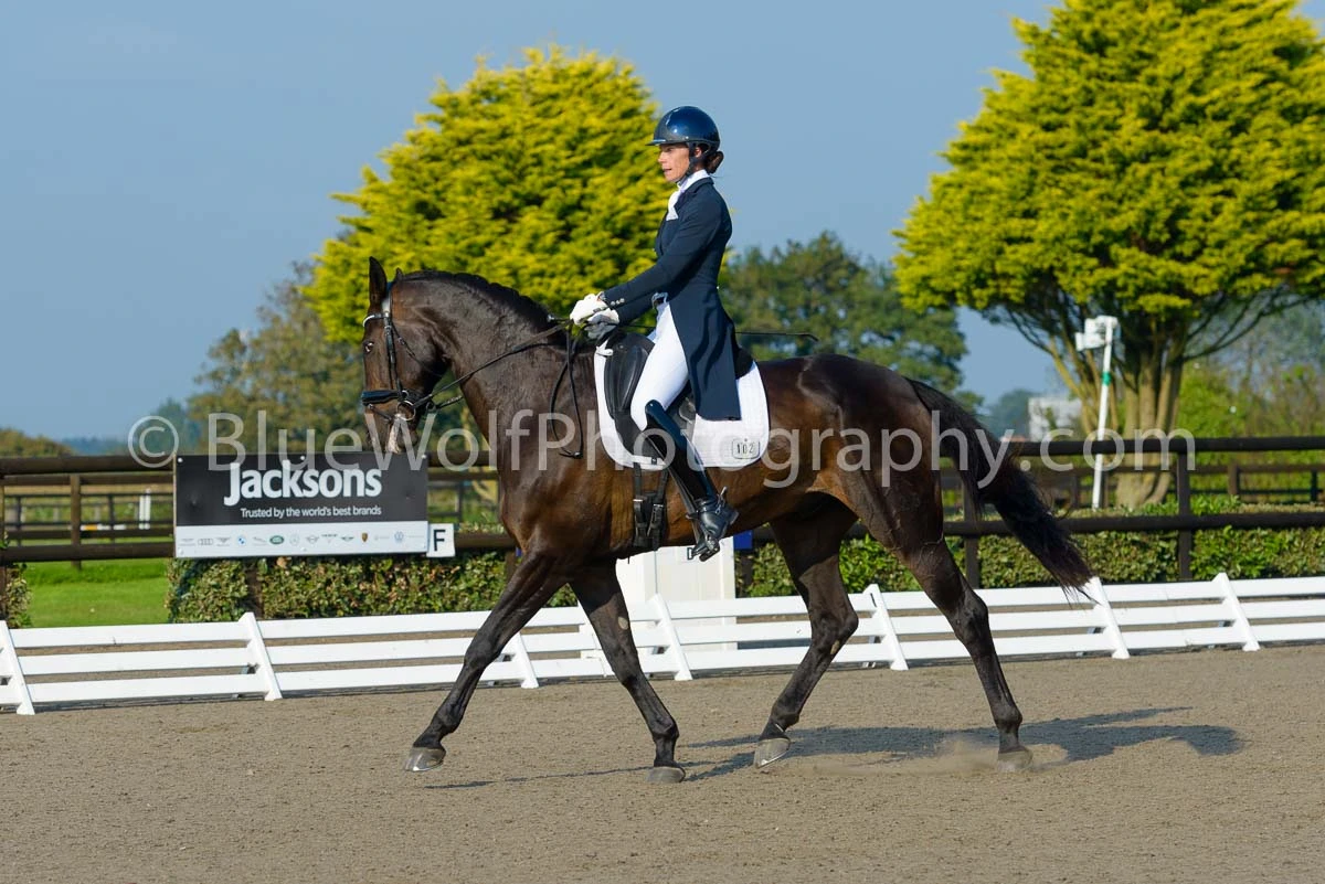 BS Guernsey Dressage 20 September 2024