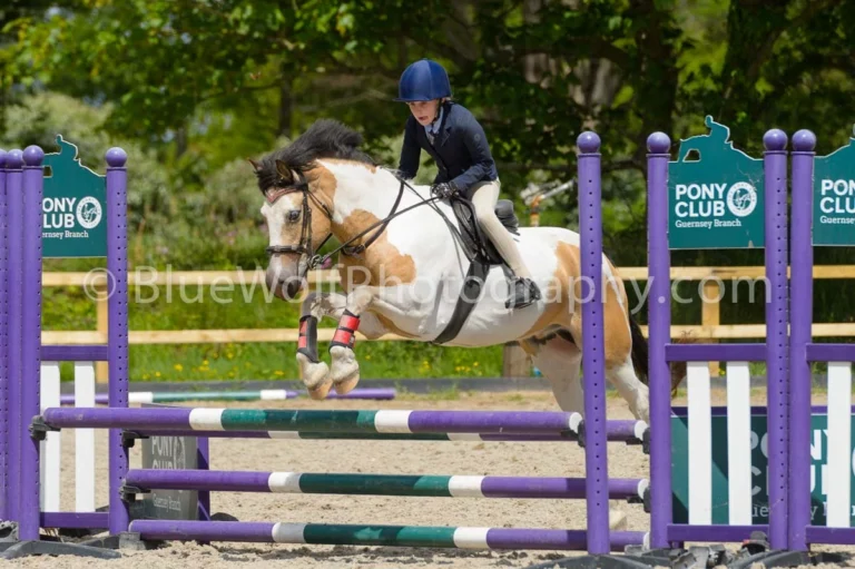 Pony Club Qualifiers 11 May 2025