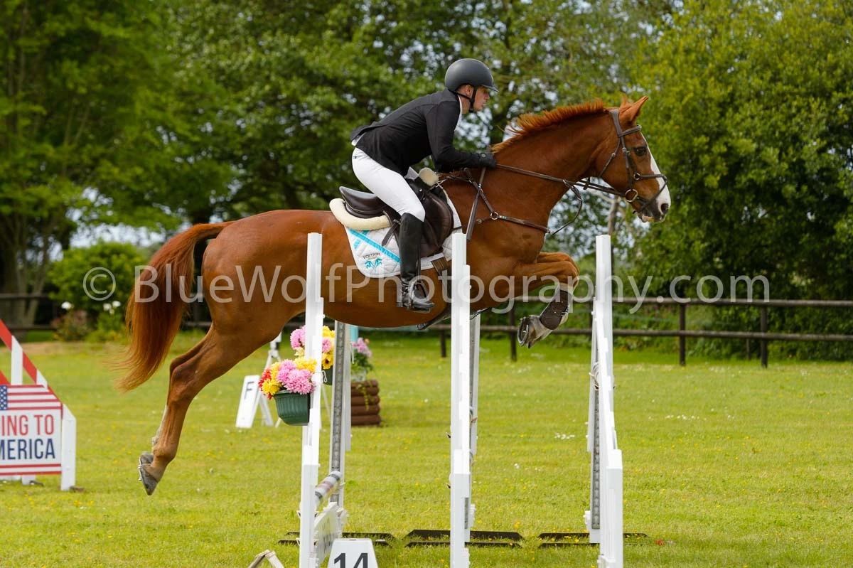 BS Guernsey Spring Show 24 May 2025