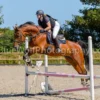 GRHC Showjumping 12 July 2025