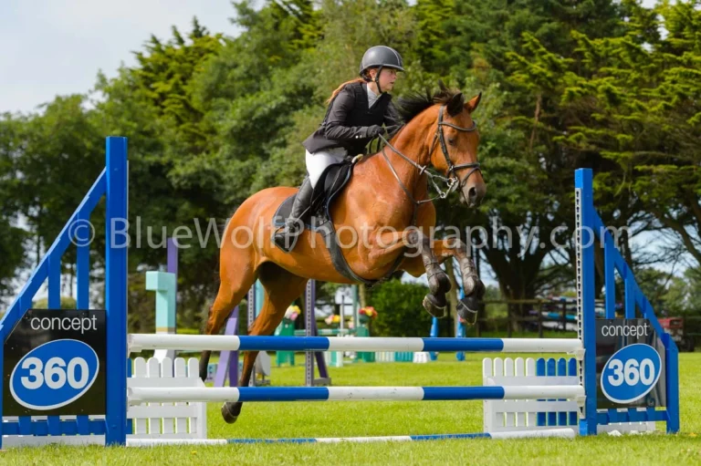 BS Guernsey Summer Show 26 July 2025