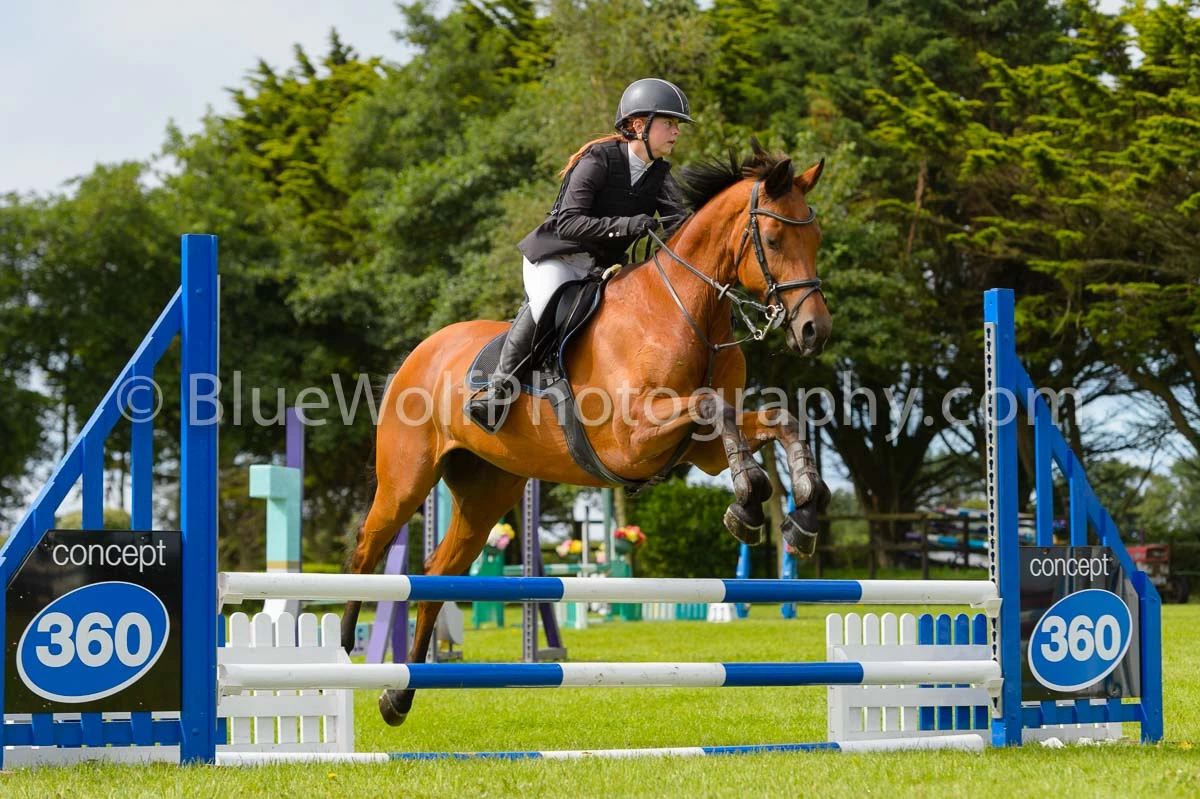BS Guernsey Summer Show 26 July 2025