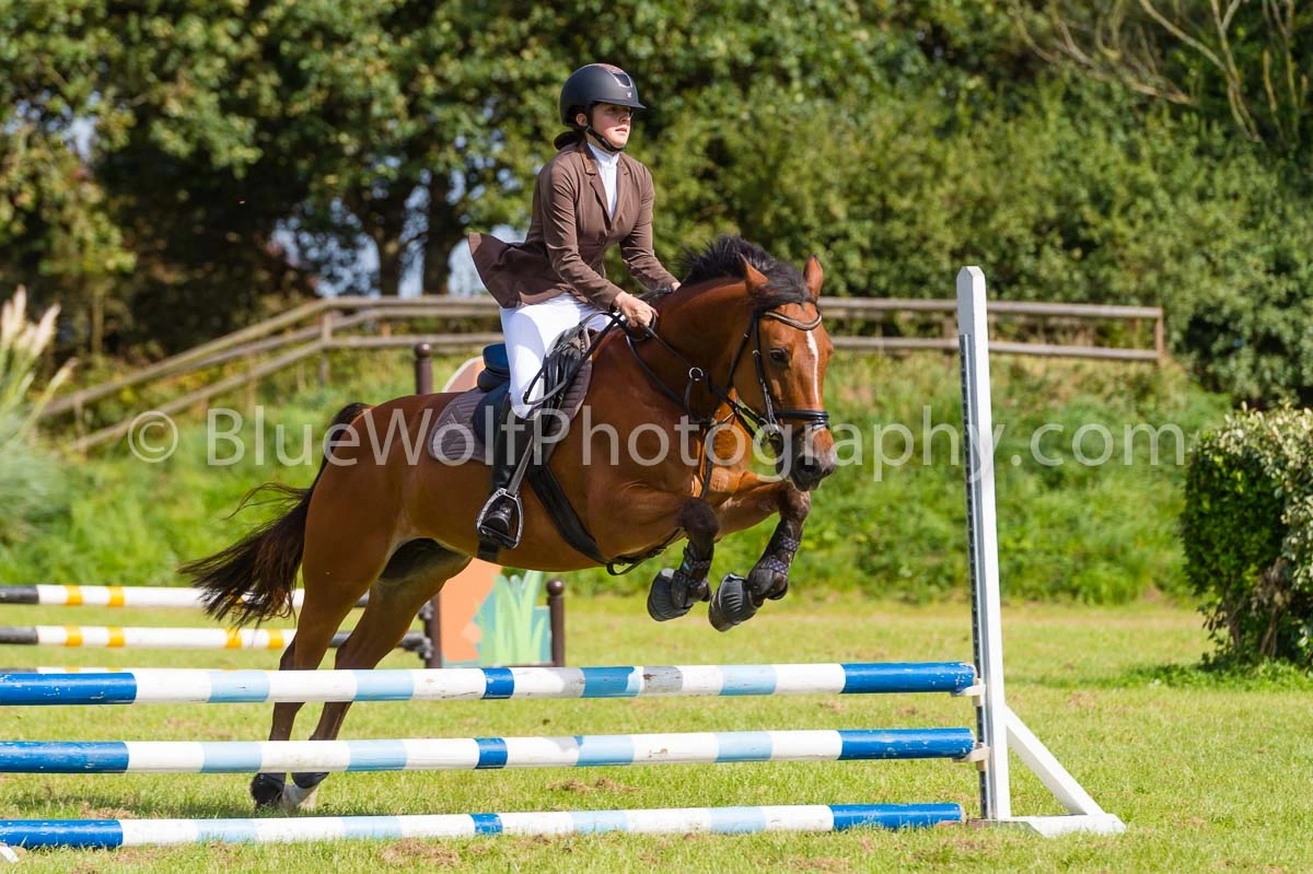 GRHC Artemis Annual Show 29 August 2025