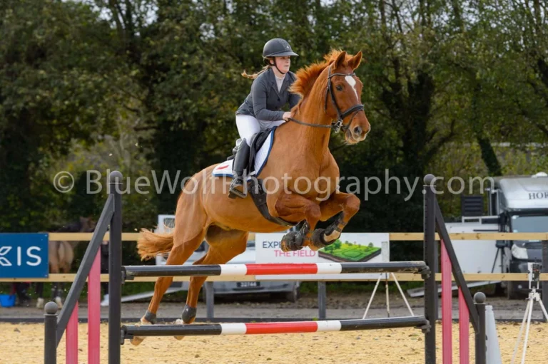 BS Guernsey Rally 23 November 2025