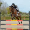 Pony Club Easter Show 29 March 2026
