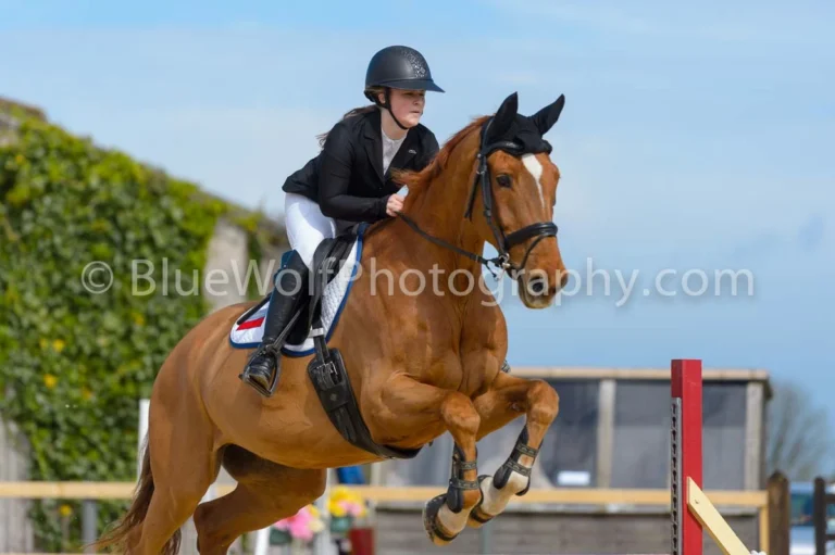 BS Guernsey Easter Show 4 April 2026