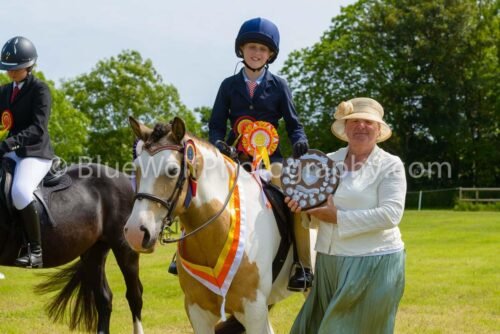 2025N-259