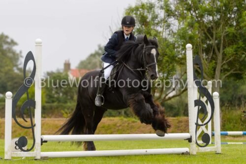 2025P-243