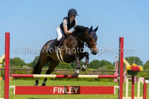 2026K-174