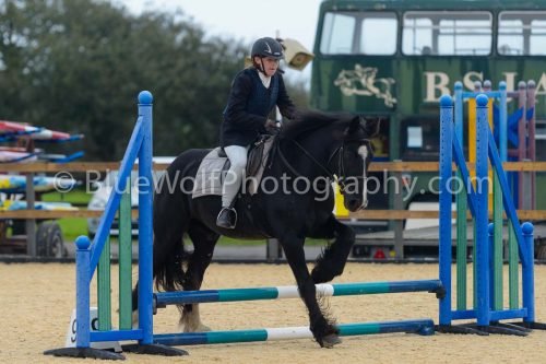 2026Q-17